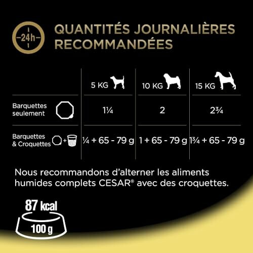 Guide d'alimentation pour chiens de différentes tailles.