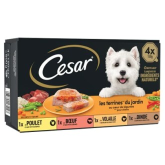 CESAR Repas pour Chien