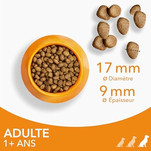 Croquettes pour chien adulte avec dimensions indiquées.