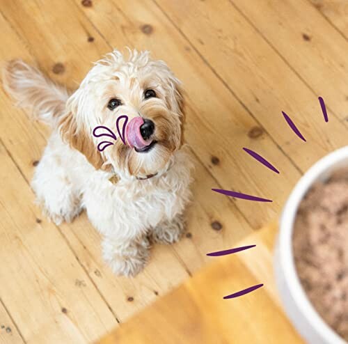 Chien mignon léchant ses lèvres près d'un bol de nourriture