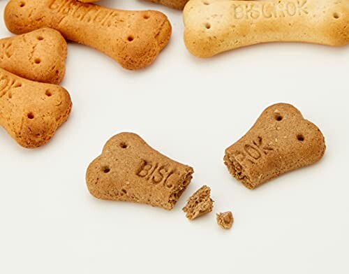 Biscuits pour chiens en forme d'os, un cassé en deux
