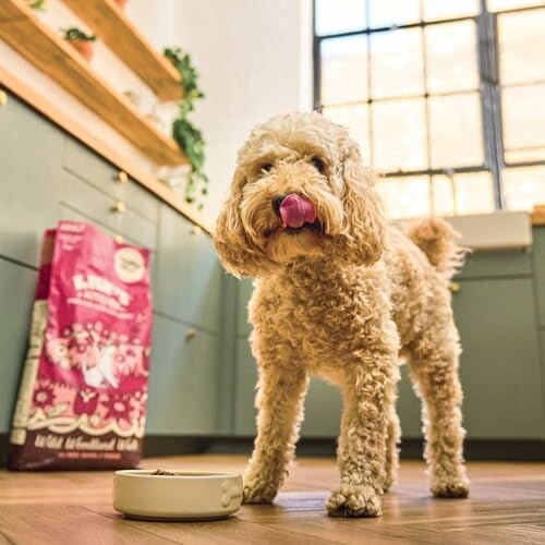 Lily's Kitchen Saumon et Chevreuil