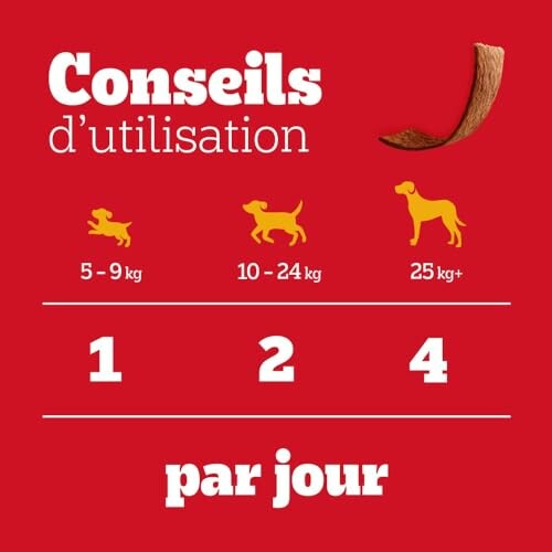 Guide d'alimentation pour chiens selon le poids.