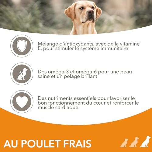 Avantages de la nourriture pour chien avec poulet frais.