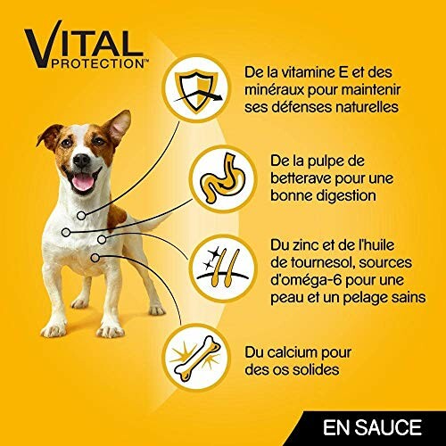 Chien souriant avec des icônes nutritionnelles.