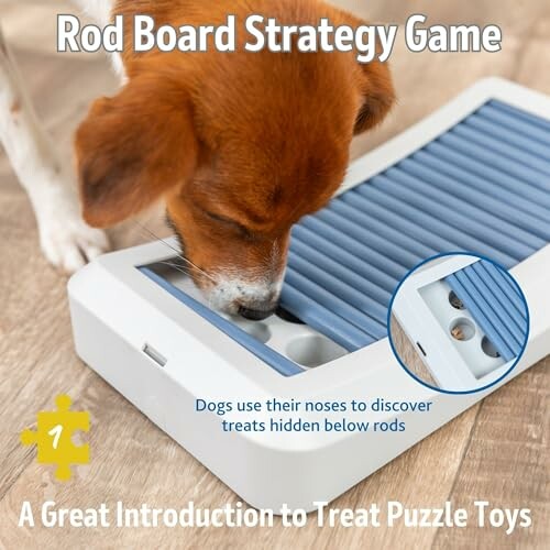 Chien jouant avec un puzzle stratégique pour trouver des friandises.