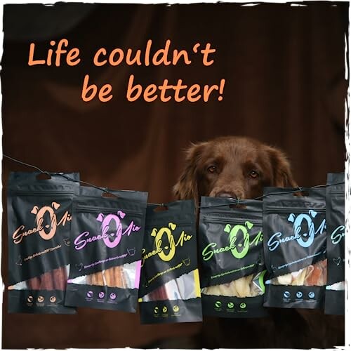 Chien derrière des paquets de friandises.