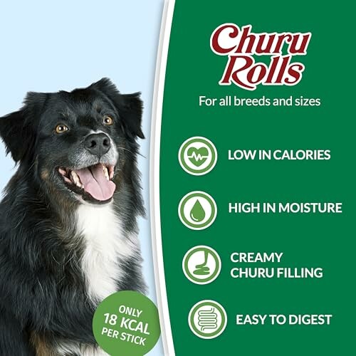 Chien heureux avec des friandises Churu Rolls