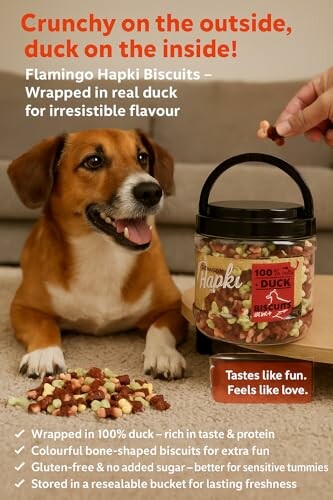 Chien avec pot de biscuits Hapki.