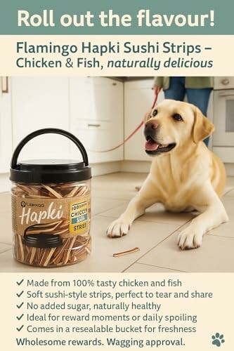 Chien à côté d'un pot de friandises.