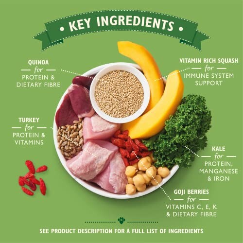 Bol avec quinoa, dinde, courge, chou frisé, baies de goji et pois chiches.