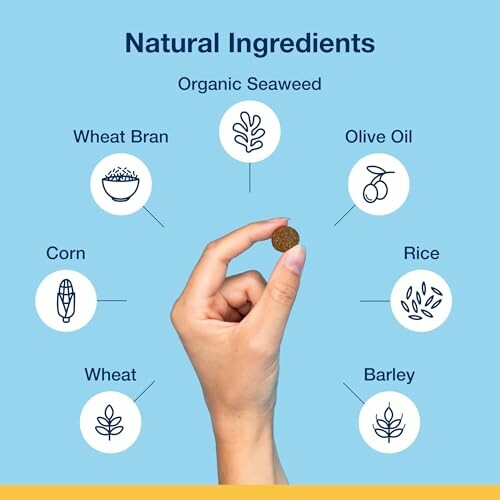 Diagramme des ingrédients naturels avec algues, huile d'olive, riz, orge, blé, maïs, son de blé.