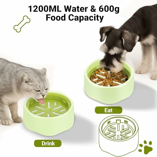 Gamelle Anti Glouton Zivacate 2-en-1