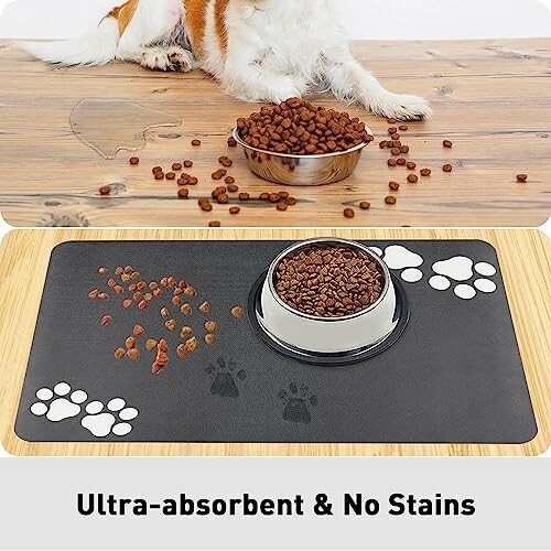 Comparaison de tapis pour nourriture pour animaux.