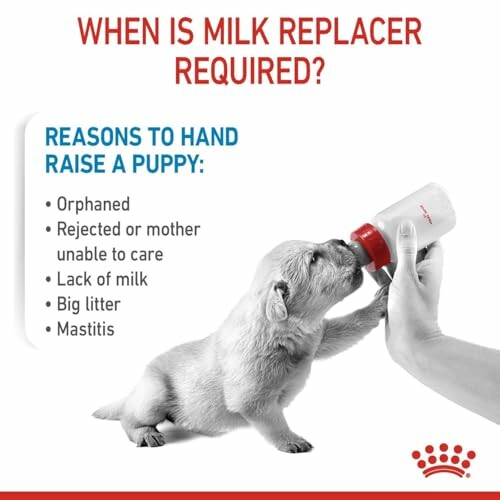 Royal Canin Babydog Milk