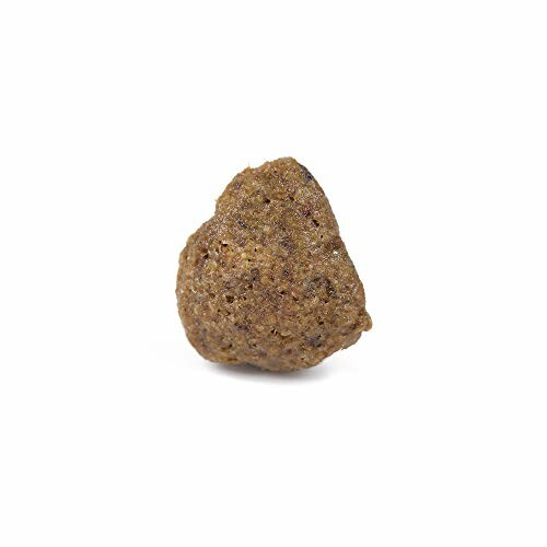 Croquette pour chien isolée sur fond blanc.