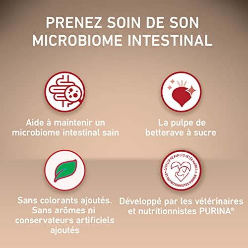 Infographie sur la santé du microbiome intestinal avec quatre icônes explicatives.